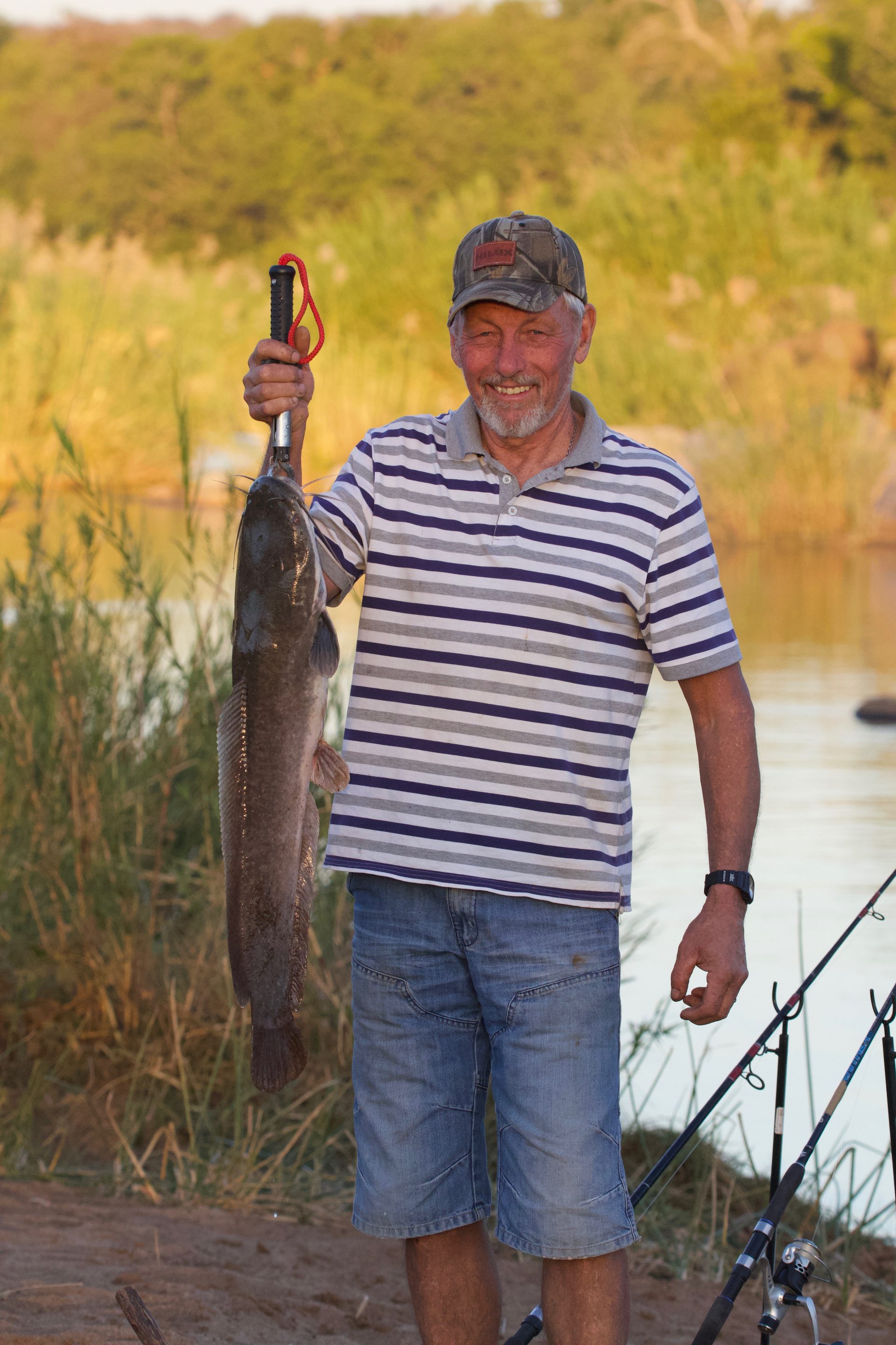 Bushveld