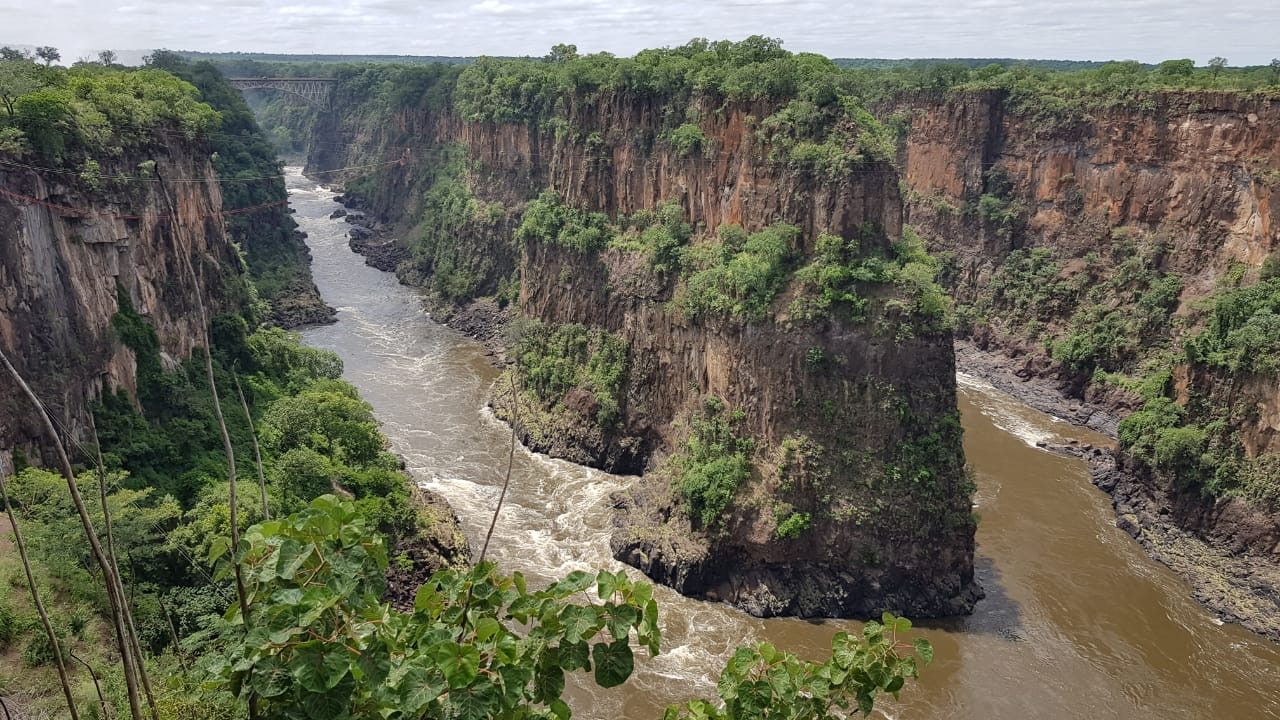 Photographic safari