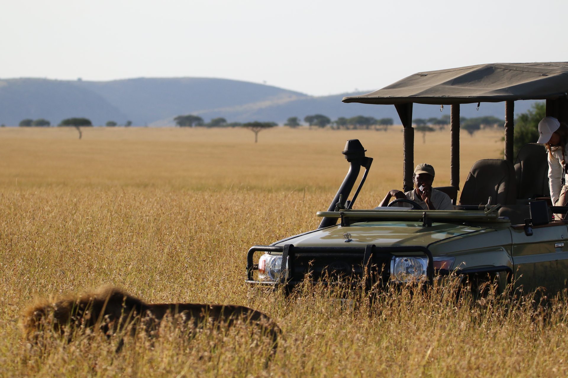 Photographic safari