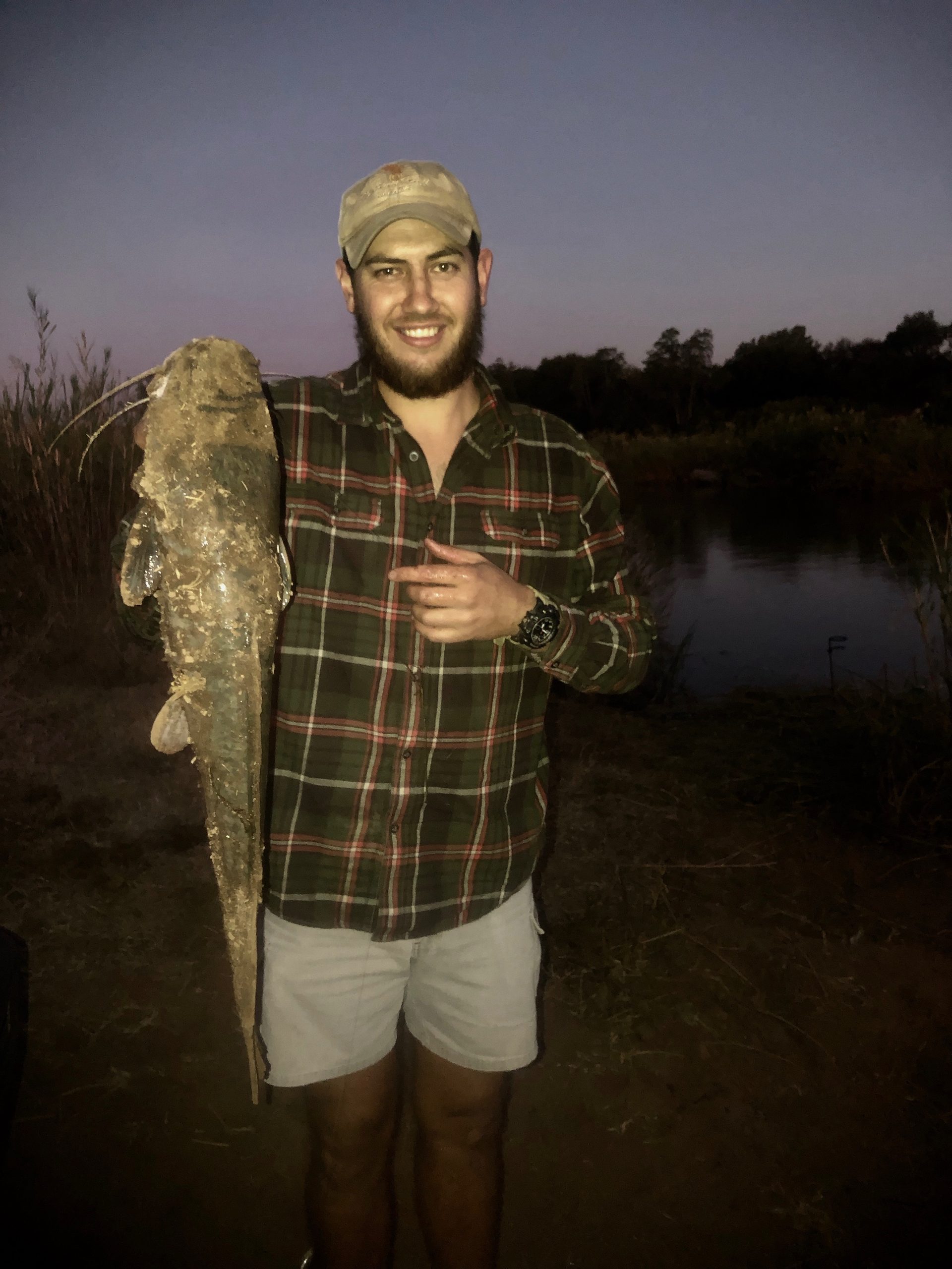 Bushveld