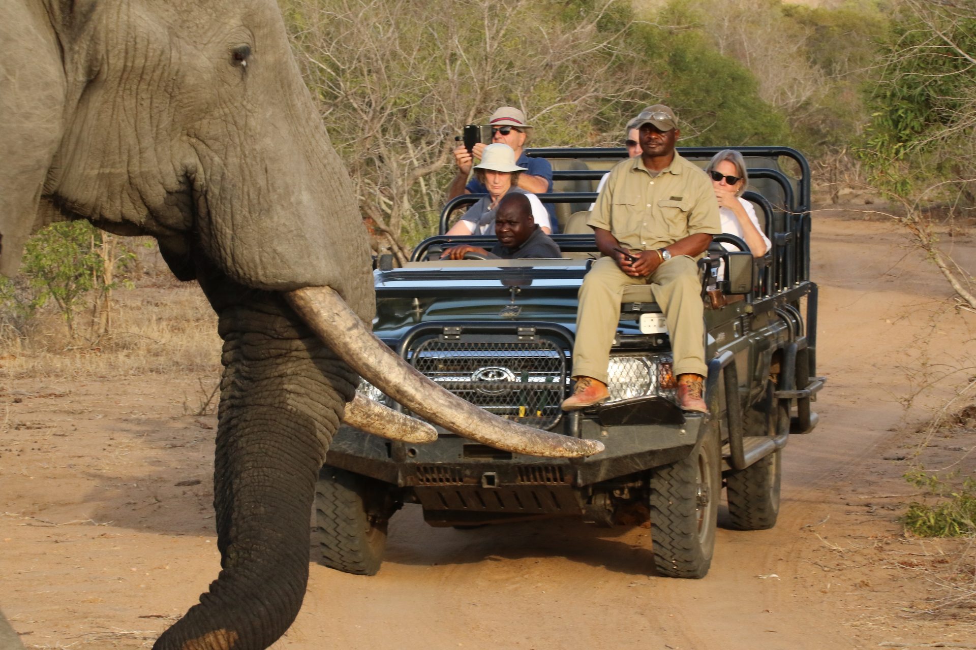 Photographic safari