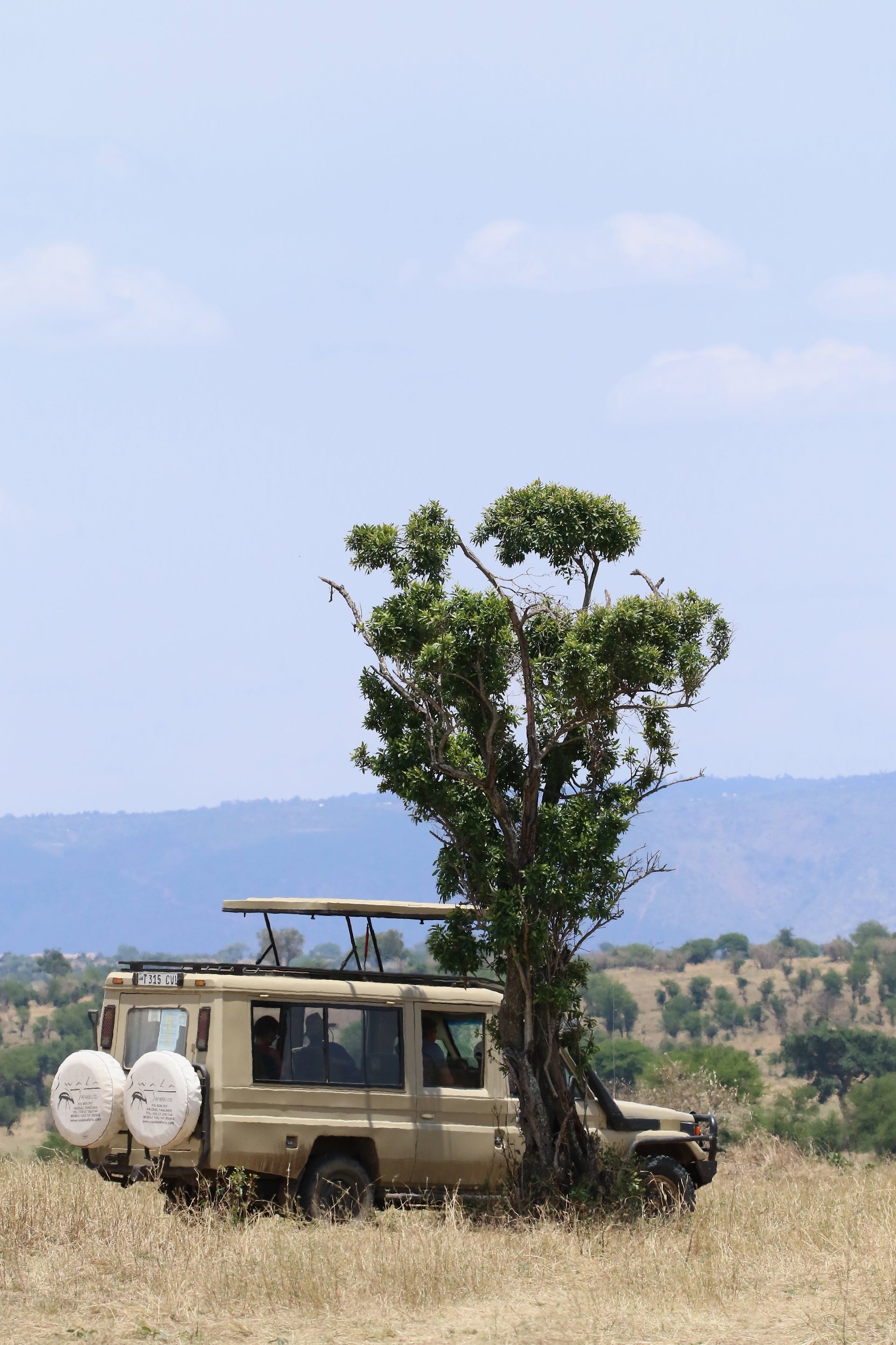 Photographic safari