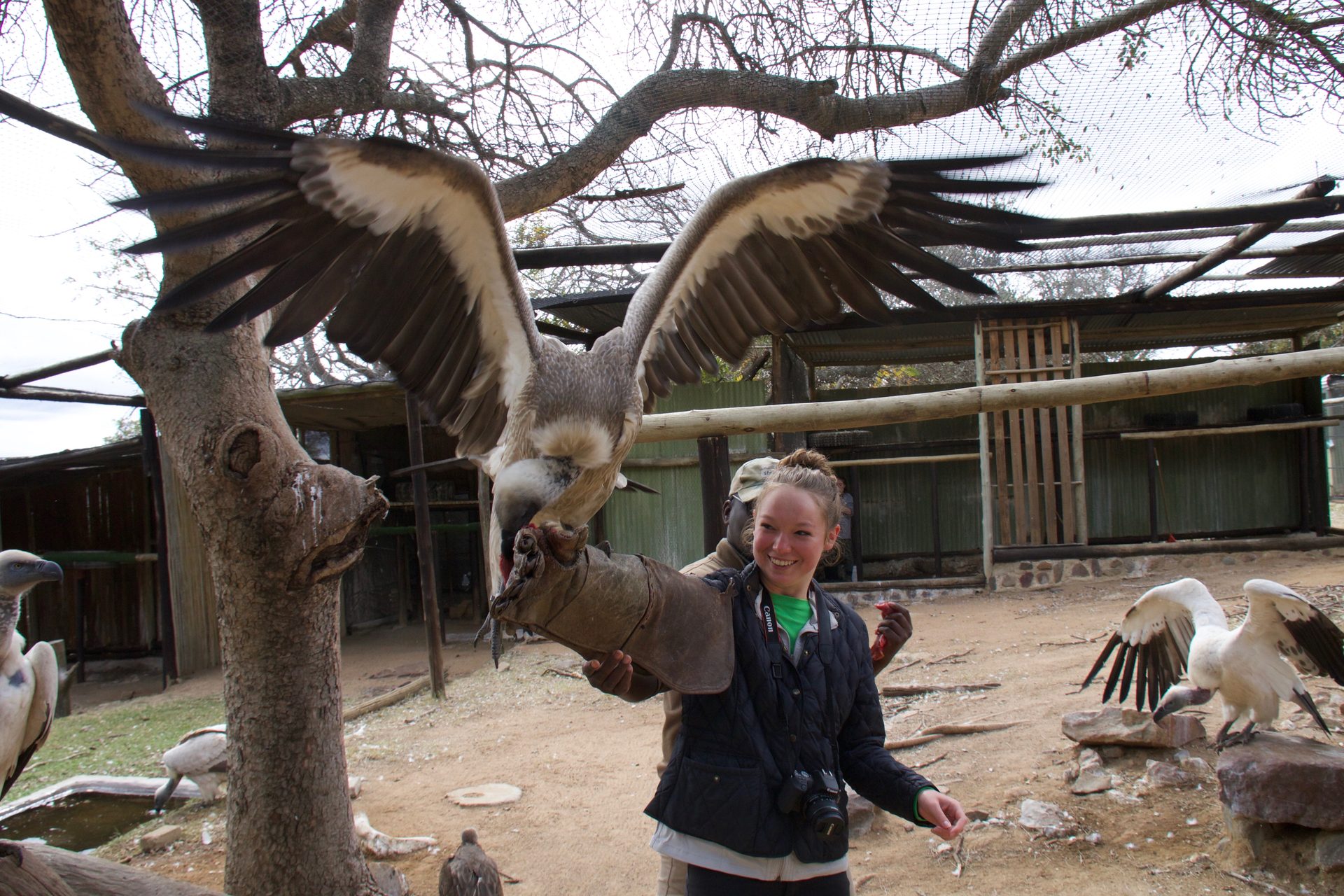 Photographic safari