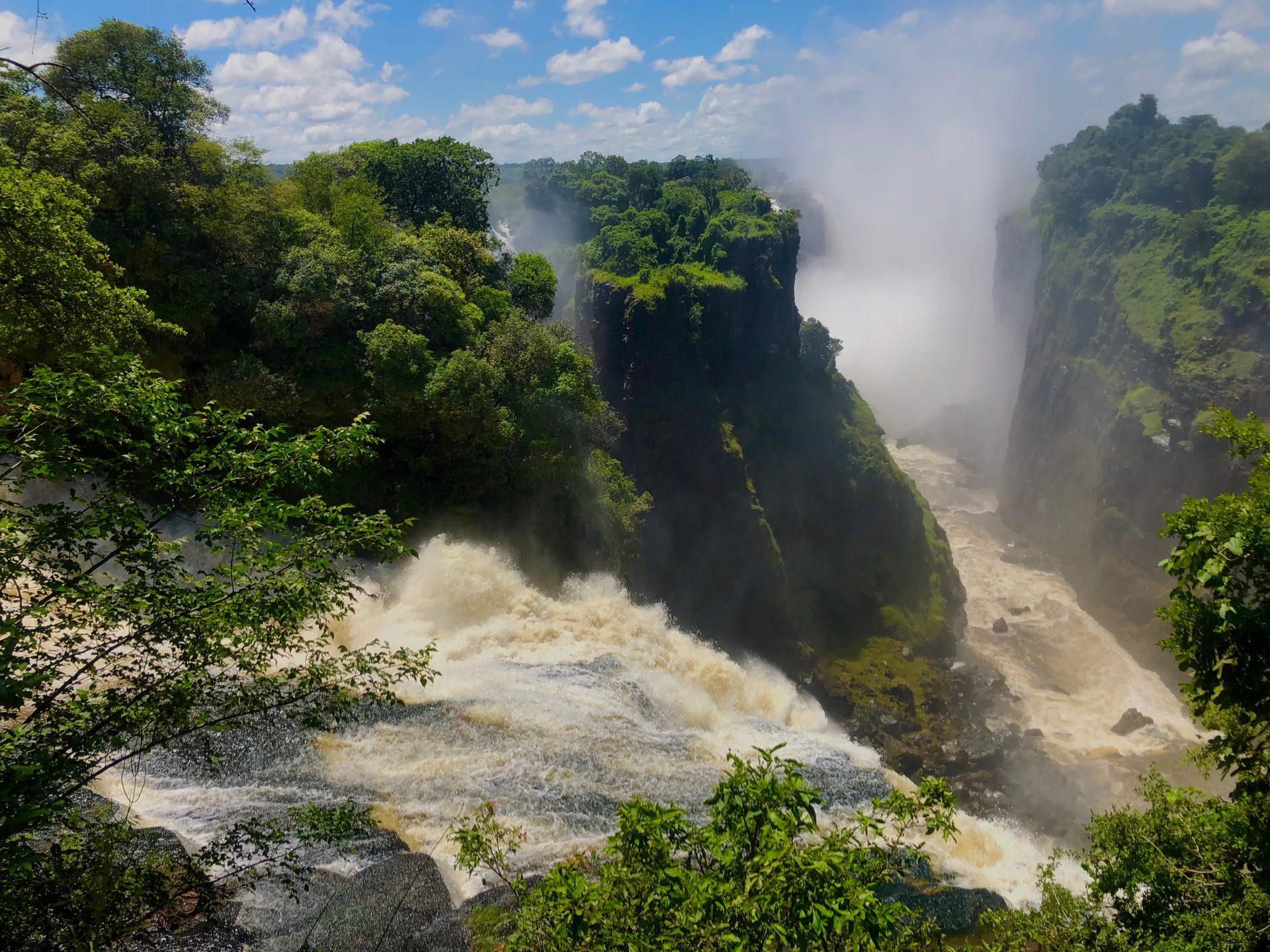 Photographic safari
