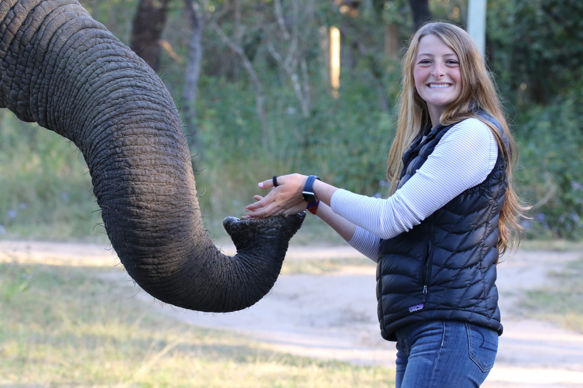 Photographic safari