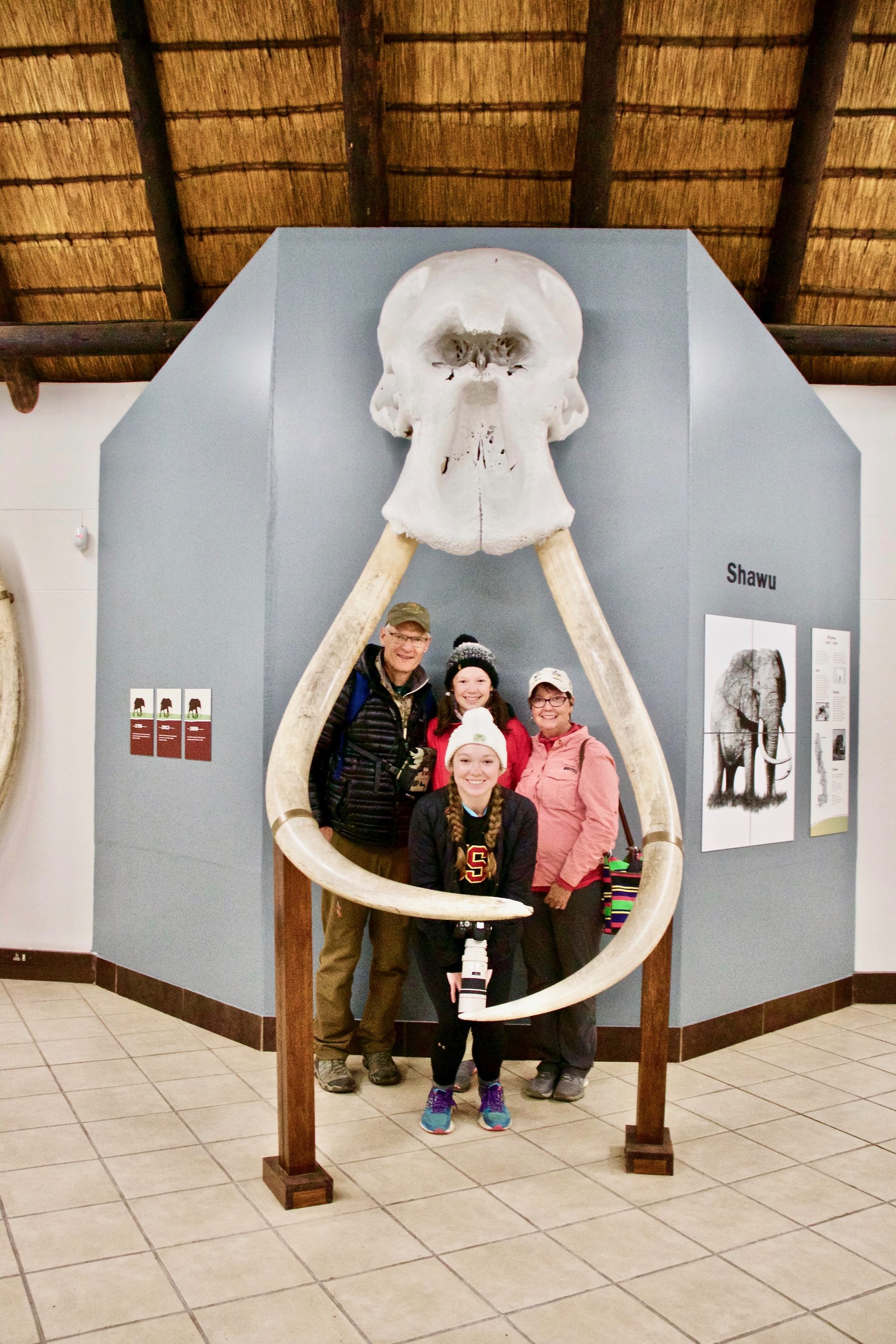 Photographic safari
