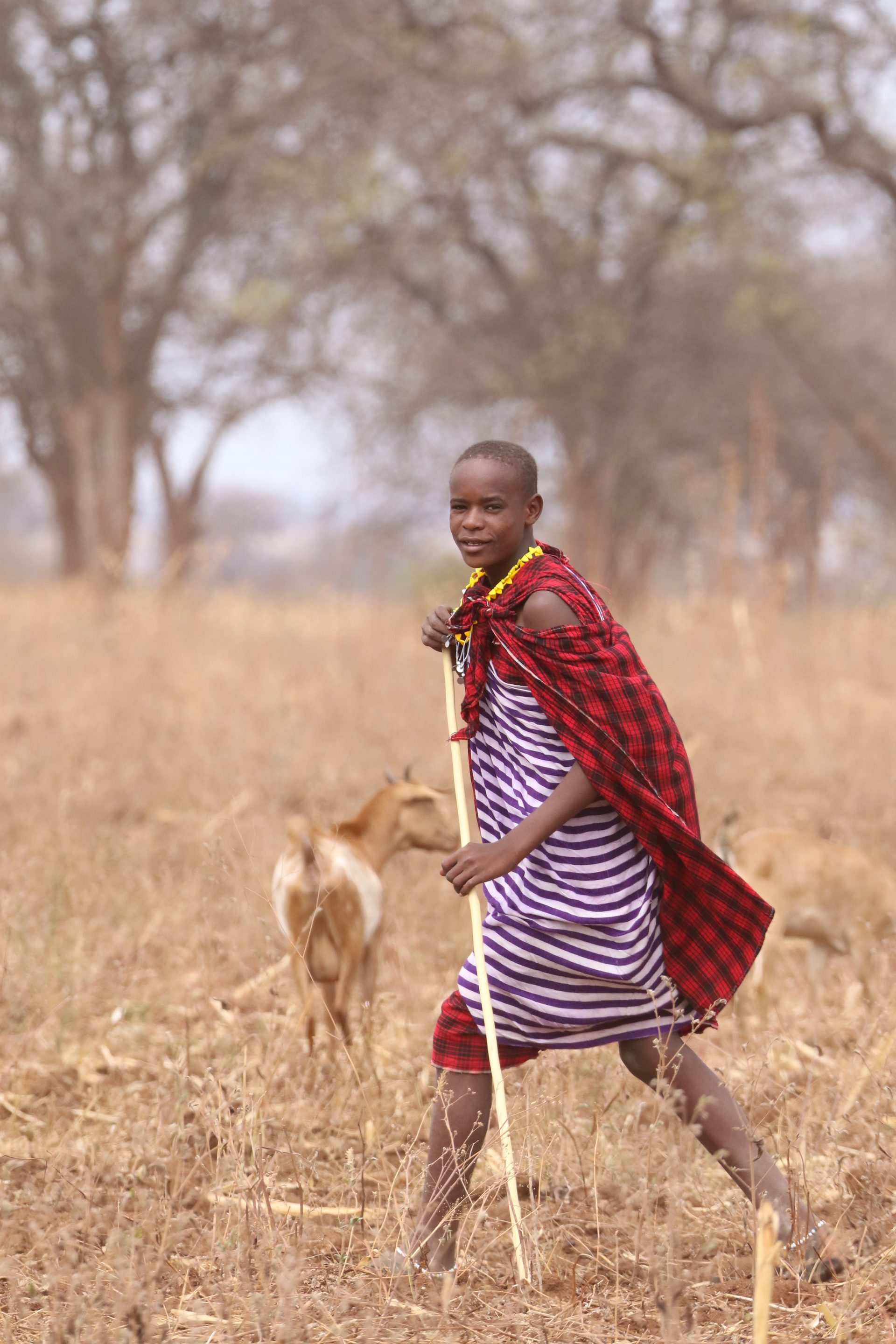 Photographic safari
